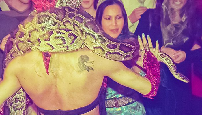 Buikdanseres met slangen feest 1001 nacht